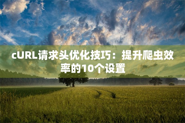 cURL请求头优化技巧：提升爬虫效率的10个设置