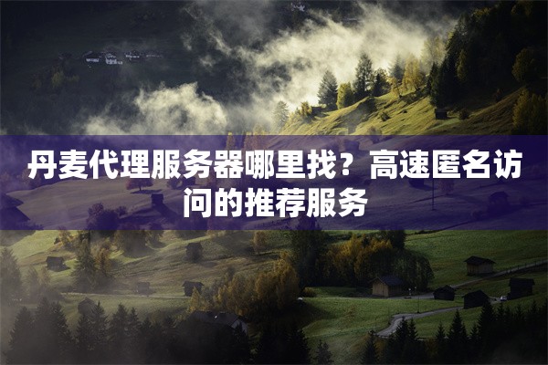 丹麦代理服务器哪里找？高速匿名访问的推荐服务