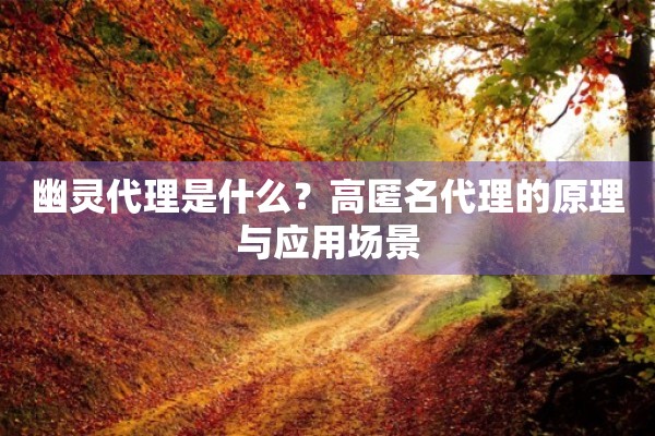 幽灵代理是什么？高匿名代理的原理与应用场景