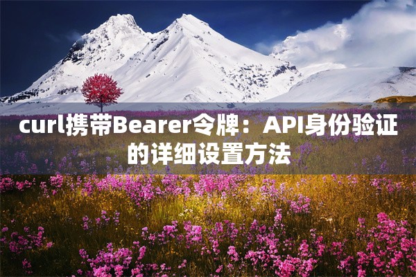 curl携带Bearer令牌：API身份验证的详细设置方法