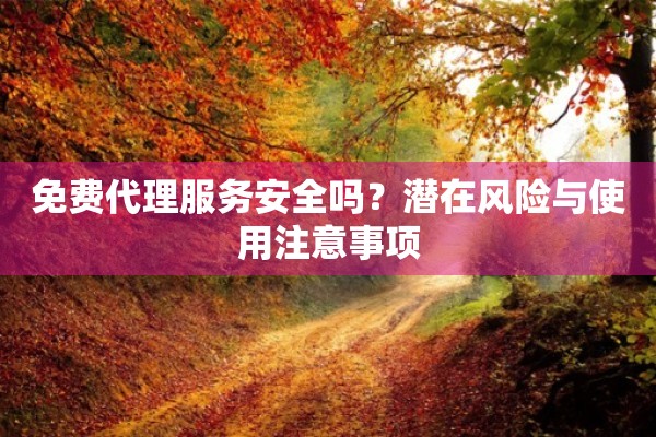 免费代理服务安全吗？潜在风险与使用注意事项