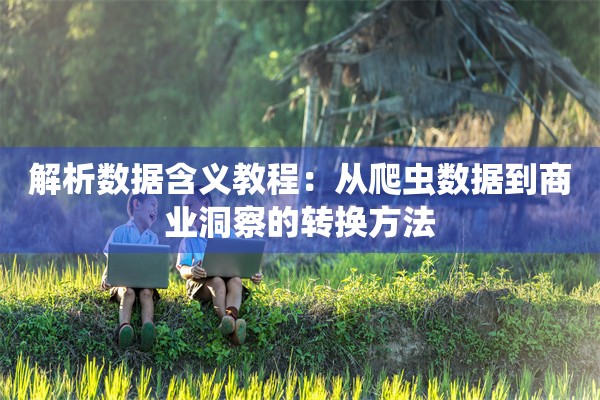 解析数据含义教程：从爬虫数据到商业洞察的转换方法