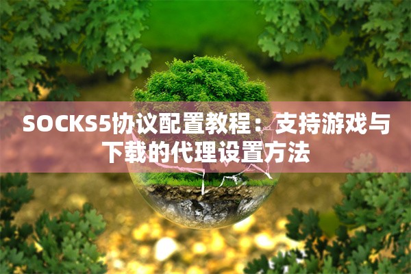 SOCKS5协议配置教程：支持游戏与下载的代理设置方法