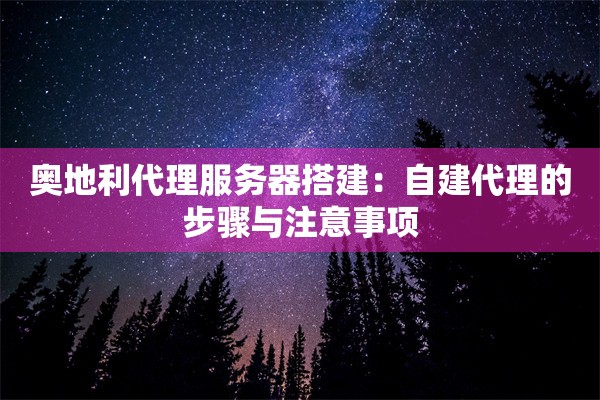 奥地利代理服务器搭建：自建代理的步骤与注意事项