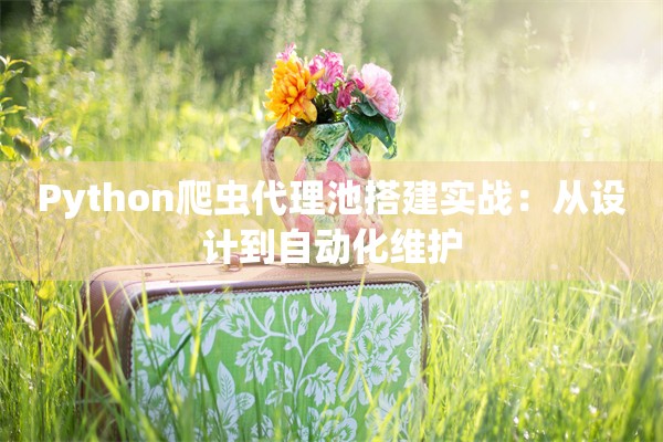 Python爬虫代理池搭建实战：从设计到自动化维护