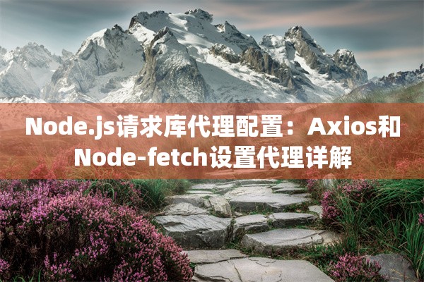 Node.js请求库代理配置：Axios和Node-fetch设置代理详解