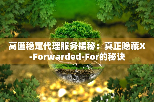 高匿稳定代理服务揭秘:真正隐藏X-Forwarded-For的秘诀