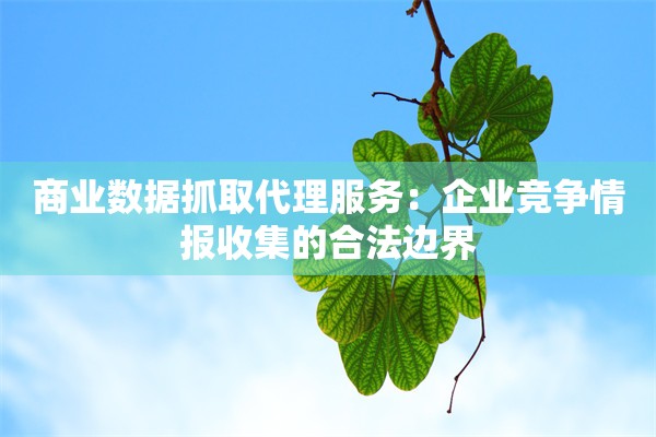 商业数据抓取代理服务:企业竞争情报收集的合法边界