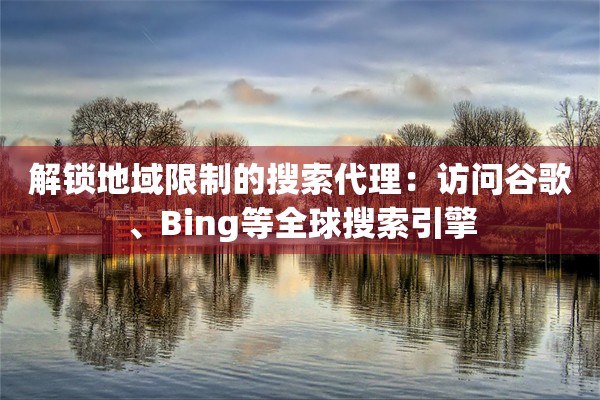 解锁地域限制的搜索代理：访问谷歌、Bing等全球搜索引擎