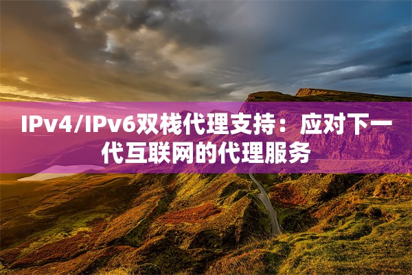 IPv4/IPv6双栈代理支持：应对下一代互联网的代理服务