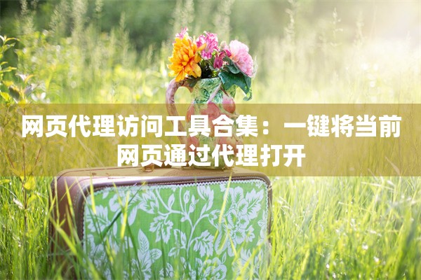 网页代理访问工具合集：一键将当前网页通过代理打开