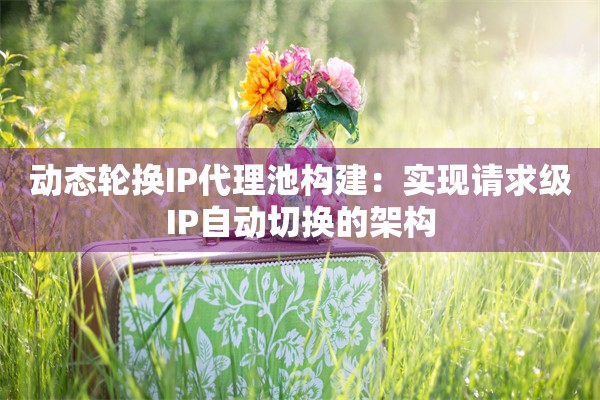 动态轮换IP代理池构建：实现请求级IP自动切换的架构