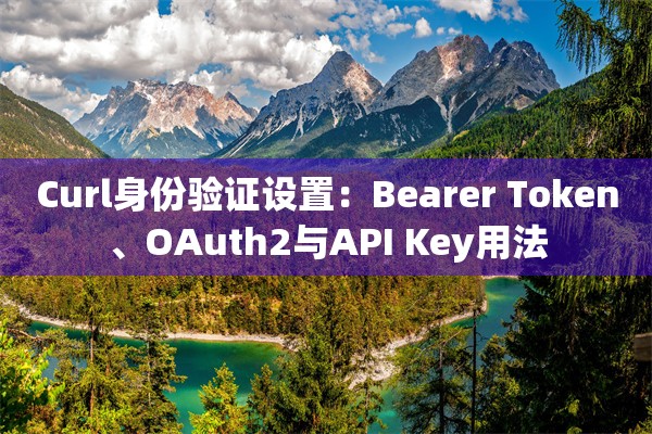 Curl身份验证设置：Bearer Token、OAuth2与API Key用法