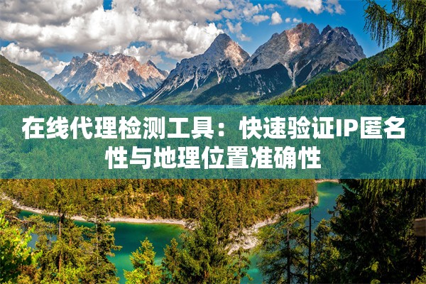 在线代理检测工具：快速验证IP匿名性与地理位置准确性