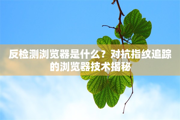 反检测浏览器是什么？对抗指纹追踪的浏览器技术揭秘