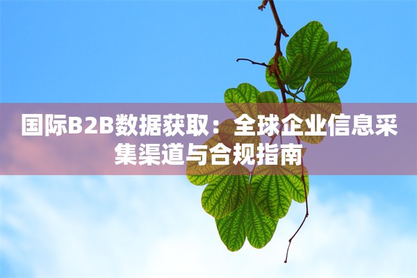 国际B2B数据获取：全球企业信息采集渠道与合规指南