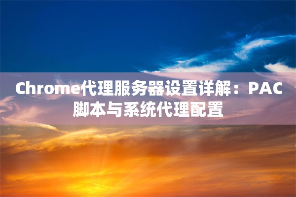 Chrome代理服务器设置详解：PAC脚本与系统代理配置