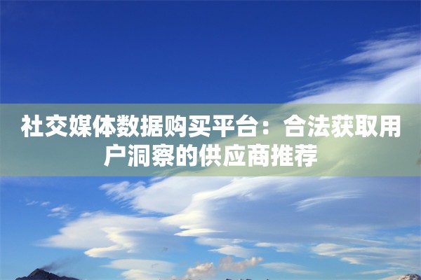 社交媒体数据购买平台：合法获取用户洞察的供应商推荐