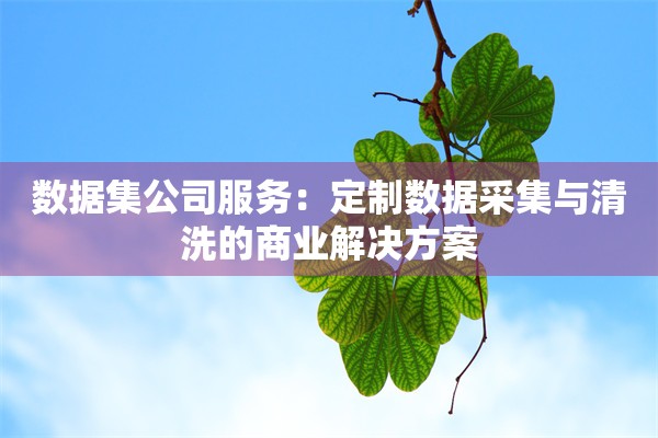 数据集公司服务：定制数据采集与清洗的商业解决方案