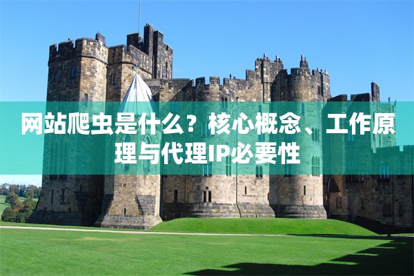 网站爬虫是什么？核心概念、工作原理与代理IP必要性