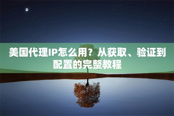 美国代理IP怎么用？从获取、验证到配置的完整教程
