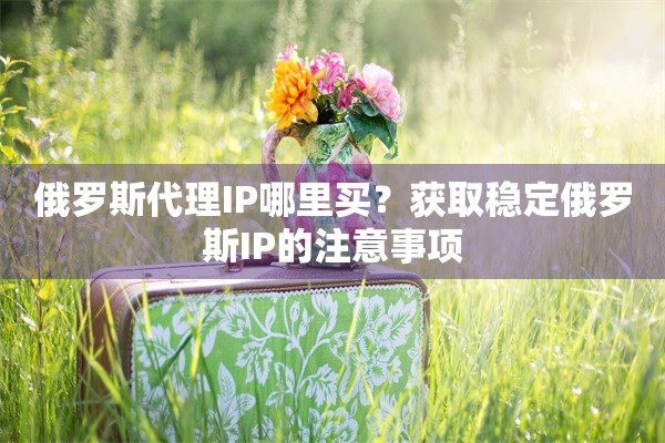 俄罗斯代理IP哪里买？获取稳定俄罗斯IP的注意事项