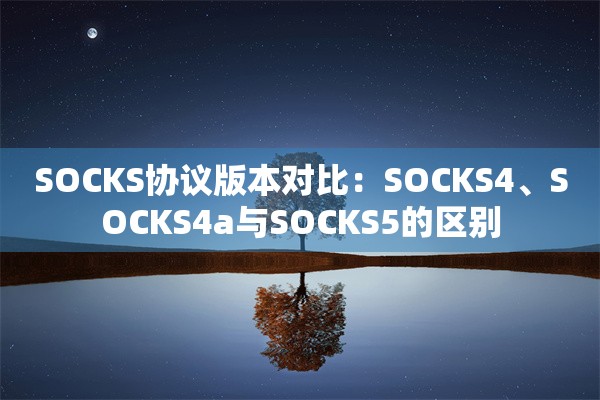 SOCKS协议版本对比：SOCKS4、SOCKS4a与SOCKS5的区别