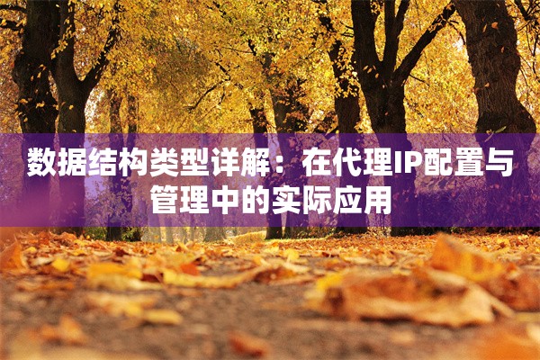 数据结构类型详解：在代理IP配置与管理中的实际应用