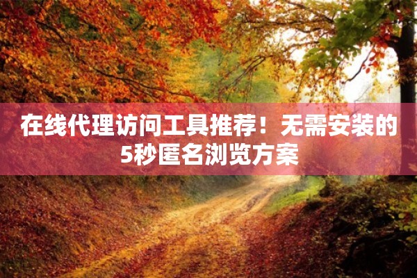 在线代理访问工具推荐！无需安装的5秒匿名浏览方案