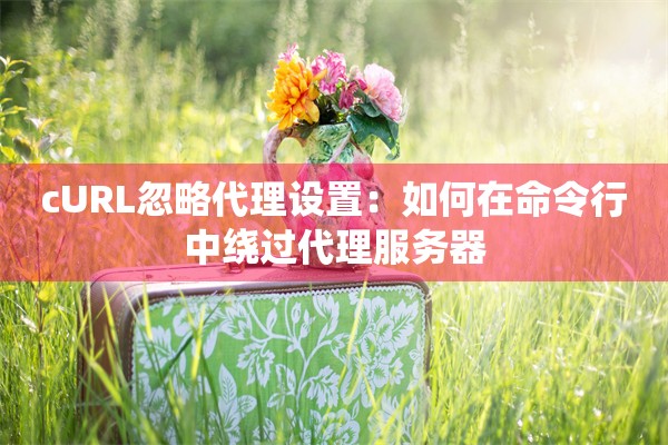 cURL忽略代理设置：如何在命令行中绕过代理服务器