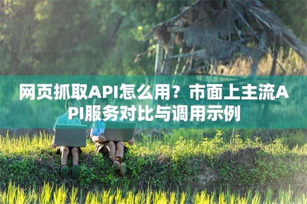 网页抓取API怎么用？市面上主流API服务对比与调用示例