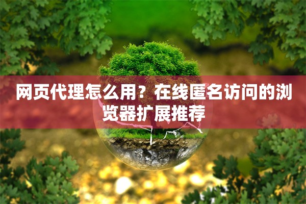 网页代理怎么用？在线匿名访问的浏览器扩展推荐