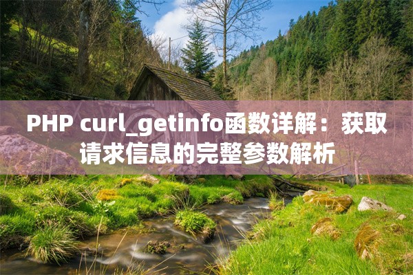 PHP curl_getinfo函数详解：获取请求信息的完整参数解析