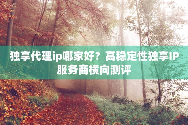 独享代理ip哪家好？高稳定性独享IP服务商横向测评