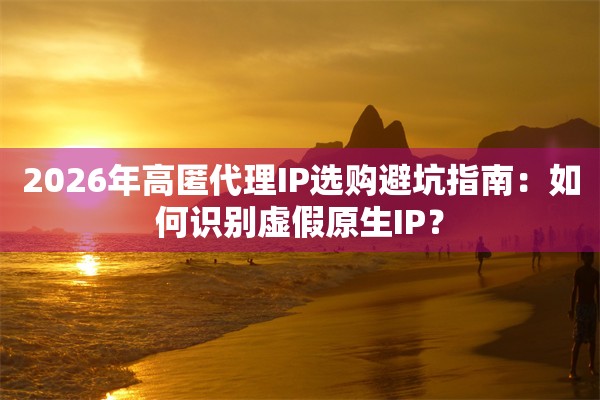 2026年高匿代理IP选购避坑指南：如何识别虚假原生IP？