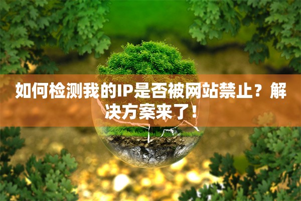 如何检测我的IP是否被网站禁止？解决方案来了！