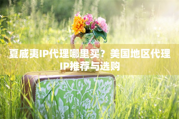 夏威夷IP代理哪里买？美国地区代理IP推荐与选购