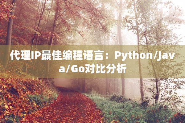 代理IP最佳编程语言：Python/Java/Go对比分析