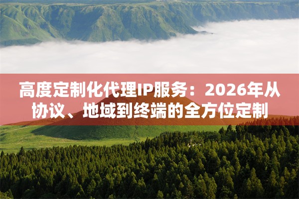 高度定制化代理IP服务:2026年从协议、地域到终端的全方位定制