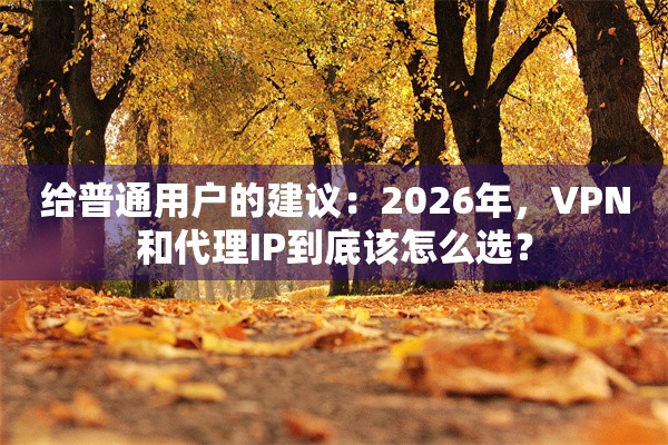 给普通用户的建议:2026年,VPN和代理IP到底该怎么选?