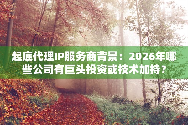 起底代理IP服务商背景:2026年哪些公司有巨头投资或技术加持?