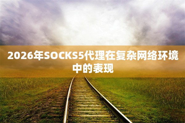 2026年SOCKS5代理在复杂网络环境中的表现