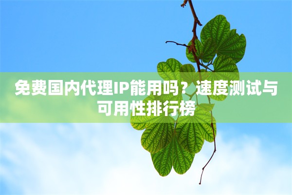 免费国内代理IP能用吗?速度测试与可用性排行榜