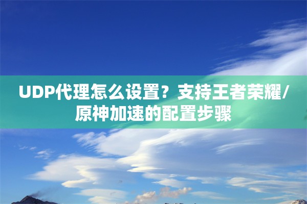 UDP代理怎么设置?支持王者荣耀/原神加速的配置步骤