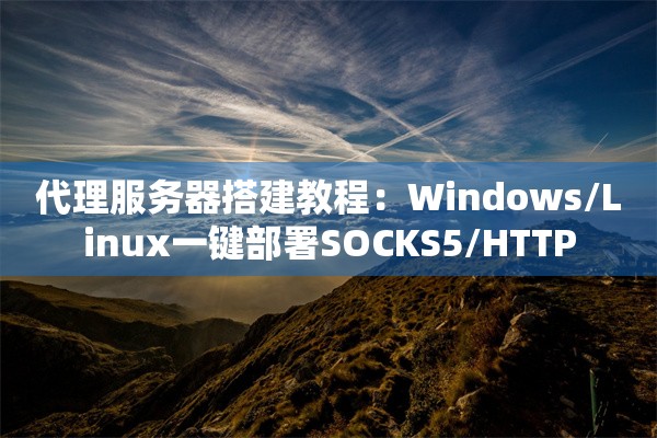 代理服务器搭建教程:Windows/Linux一键部署SOCKS5/HTTP