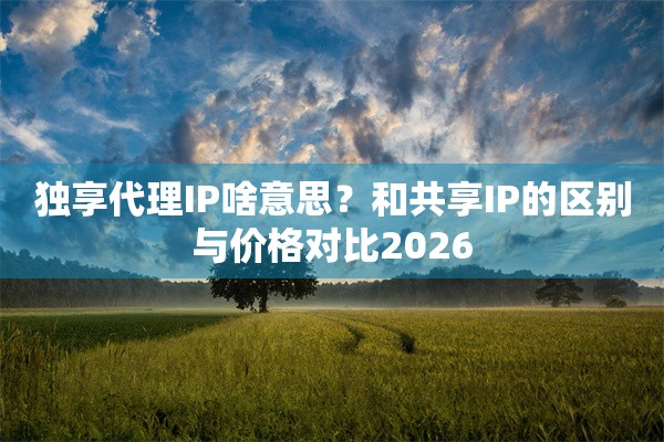 独享代理IP啥意思?和共享IP的区别与价格对比2026