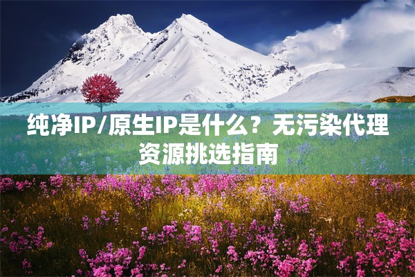纯净IP/原生IP是什么?无污染代理资源挑选指南