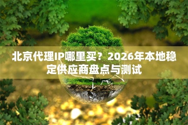 北京代理IP哪里买?2026年本地稳定供应商盘点与测试