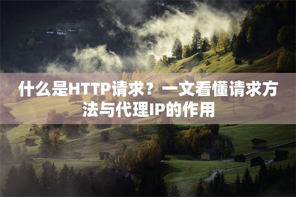 什么是HTTP请求？一文看懂请求方法与代理IP的作用