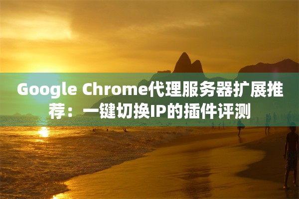 Google Chrome代理服务器扩展推荐：一键切换IP的插件评测